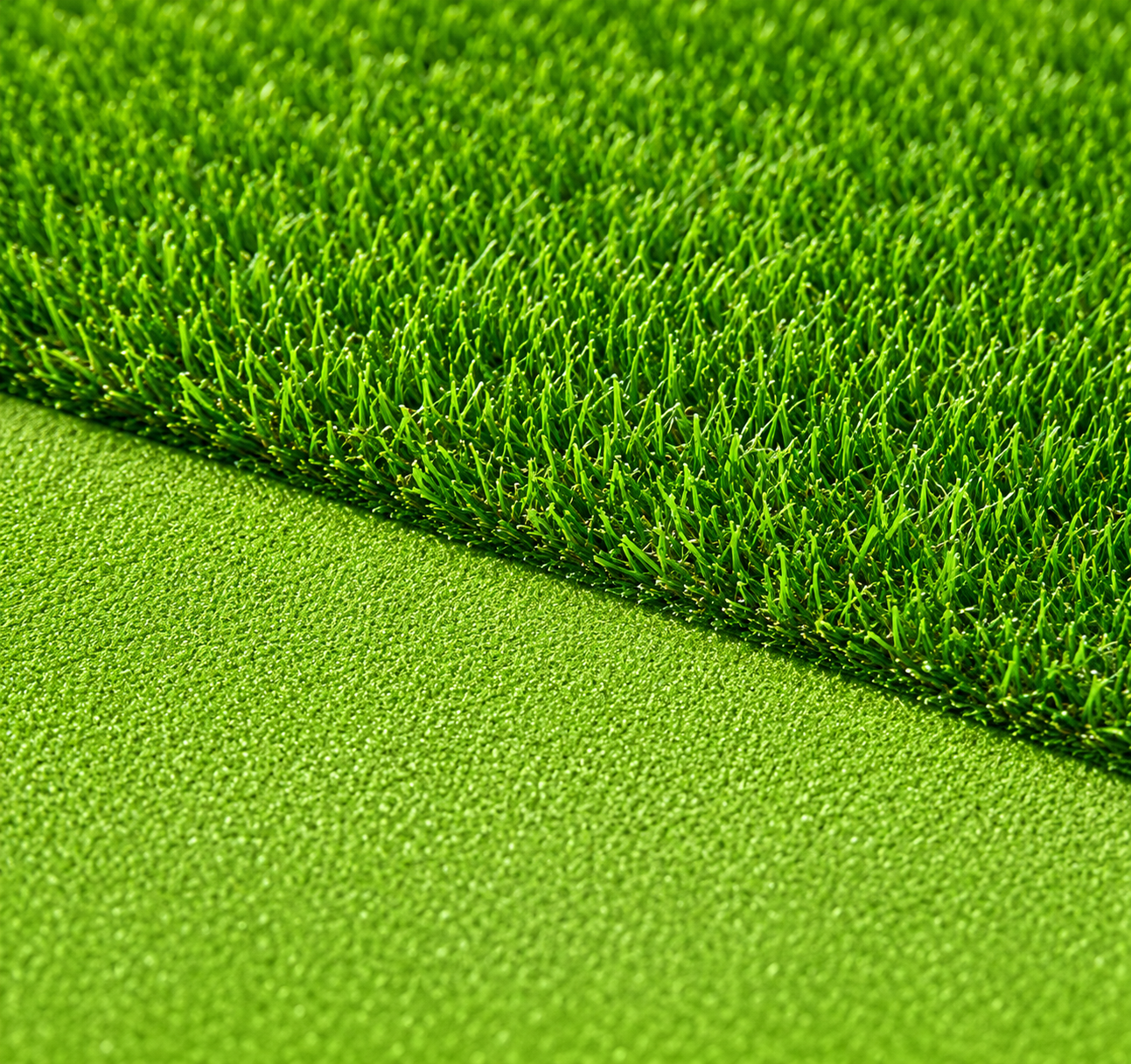 All Season Evergreen Grass Seeds (Buy 1 Get 1 Free)