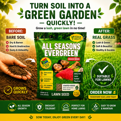 All Season Evergreen Grass Seeds (Buy 1 Get 1 Free)