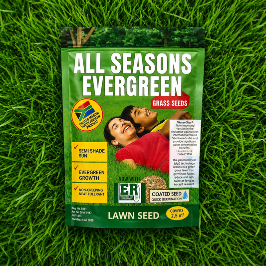All Seasons Evergreen Grass Seeds | Fast Germination | Year-Round Beautiful Green Lawn